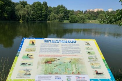 ziua mondiala a mediului copiii in armonie cu natura un proiect educational lansat de primaria capitalei 6841a8d52e3bb