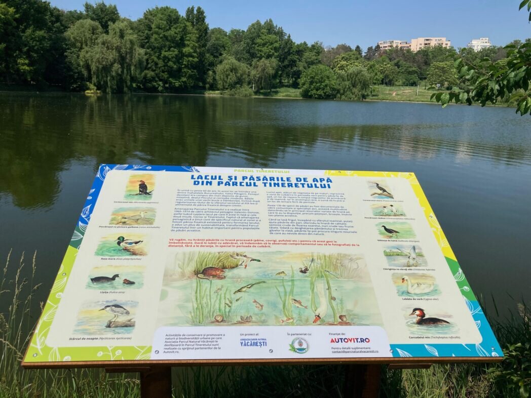 ziua mondiala a mediului copiii in armonie cu natura un proiect educational lansat de primaria capitalei 6841a8d52e3bb