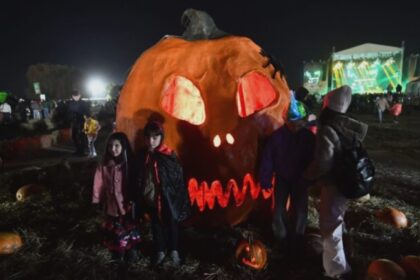 35 000 de bilete si abonamente se pun in vanzare pentru west side hallo fest 68a5579ed1b98