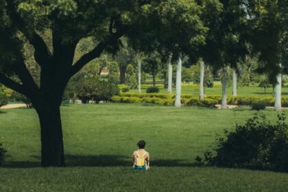 agresiune sexuala in plina zi in parcul tineretului un barbat atacat a adolescenta care statea pe o patura pe iarba 68a6ea2046917