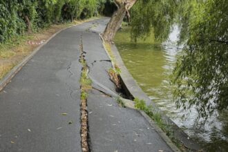 aleile surpate din parcul herastrau vor fi reparate joi incep lucrarile city manager din toamna dupa golirea lacului si malurile vor fi consolidate 68a5f19e0da12