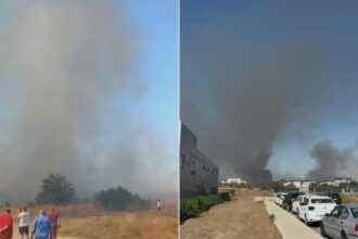 alerta incendiu in militari residence martor arde vegetatie uscata flacarile s au extins rapid s a emis mesaj ro alert video 68b057a31f579