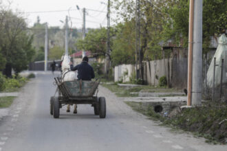 all inclusive pe bani publici o primarie din arges face cursuri de mii de euro cu angajatii la mare primar merita sunt banii mei 689eb1aff1c0c