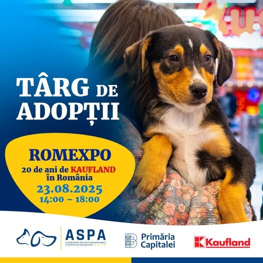 aspa urmatorul targ de adoptii sambata 23 august in cadrul evenimentului 20 de ani de kaufland in romania 689eac3998ecf