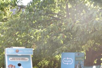 automate cu hrana si apa pentru pisici amplasate la muzeul satului 689eeee88f8a1