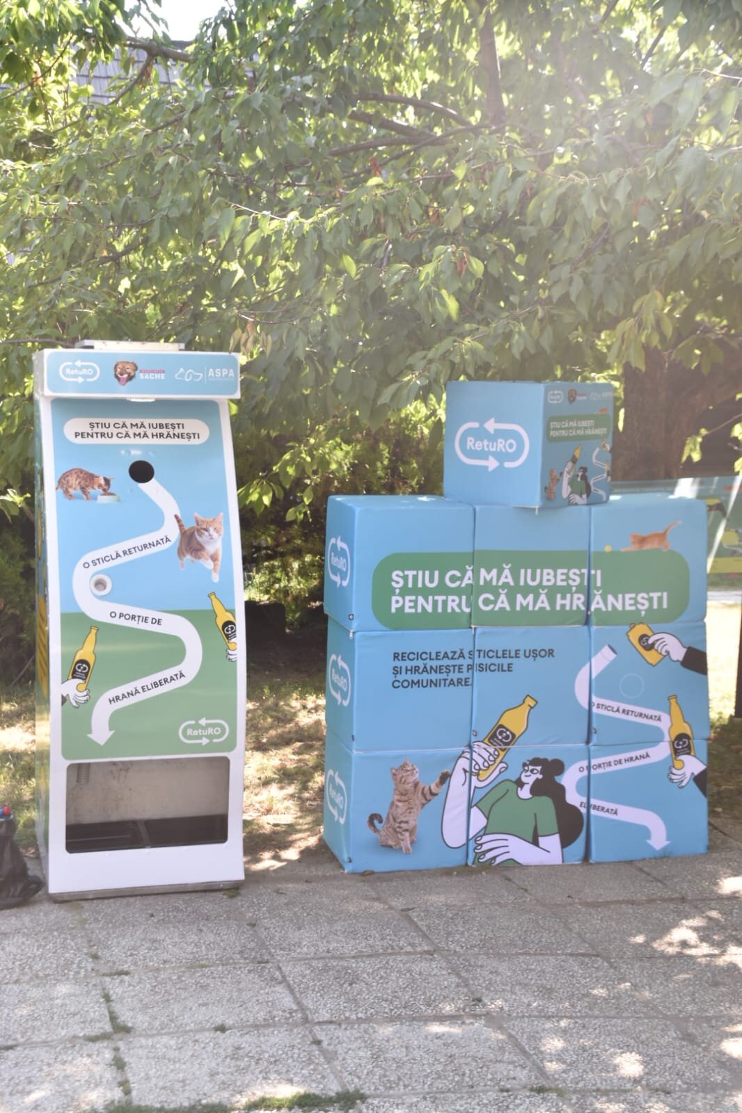 automate cu hrana si apa pentru pisici amplasate la muzeul satului 689eeee88f8a1