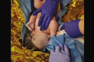 bebelus nascut in ambulanta in drum spre un spital din bucuresti primele sale plansete au umplut autospeciala de bucurie 68ac25f2bb718 1