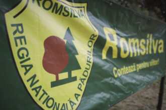 blocaj in reforma romsilva ministerul justitiei proiectul venit de la mediu trebuie modificat buzoianu sunt abia primii pasi 689b20c87e448