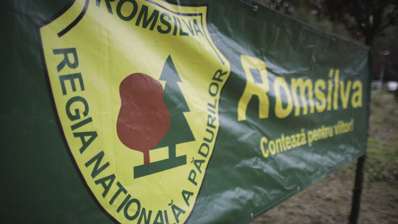 blocaj in reforma romsilva ministerul justitiei proiectul venit de la mediu trebuie modificat buzoianu sunt abia primii pasi 689b20c87e448