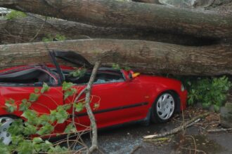breaking copac prabusit peste o masina pe strada maria rosetti din bucuresti martor doi oameni raniti intervine smurd 68a315ae6ecfc