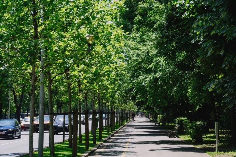 de ce au disparut subit doua benzi de pe kiseleff la muzeul de geologie cum mergi spre victoriei e si aici o termo problema sunt restrictii pana pe 7 septembrie 68aed2b9dde43