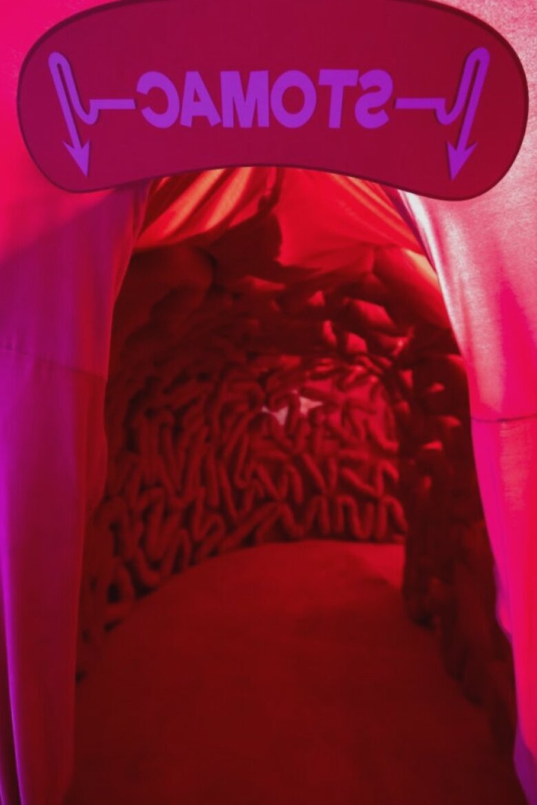 doua expozitii captivante deschise la muzeul copiilor 68aa8e5394a1e