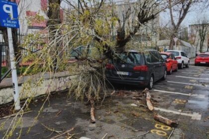 dsu o persoana a ajuns la spital dupa ce a fost surprinsa de un copac prabusit pe trotuar in sectorul 4 68a925c76bbb9