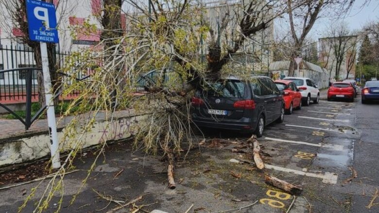 dsu o persoana a ajuns la spital dupa ce a fost surprinsa de un copac prabusit pe trotuar in sectorul 4 68a925c76bbb9