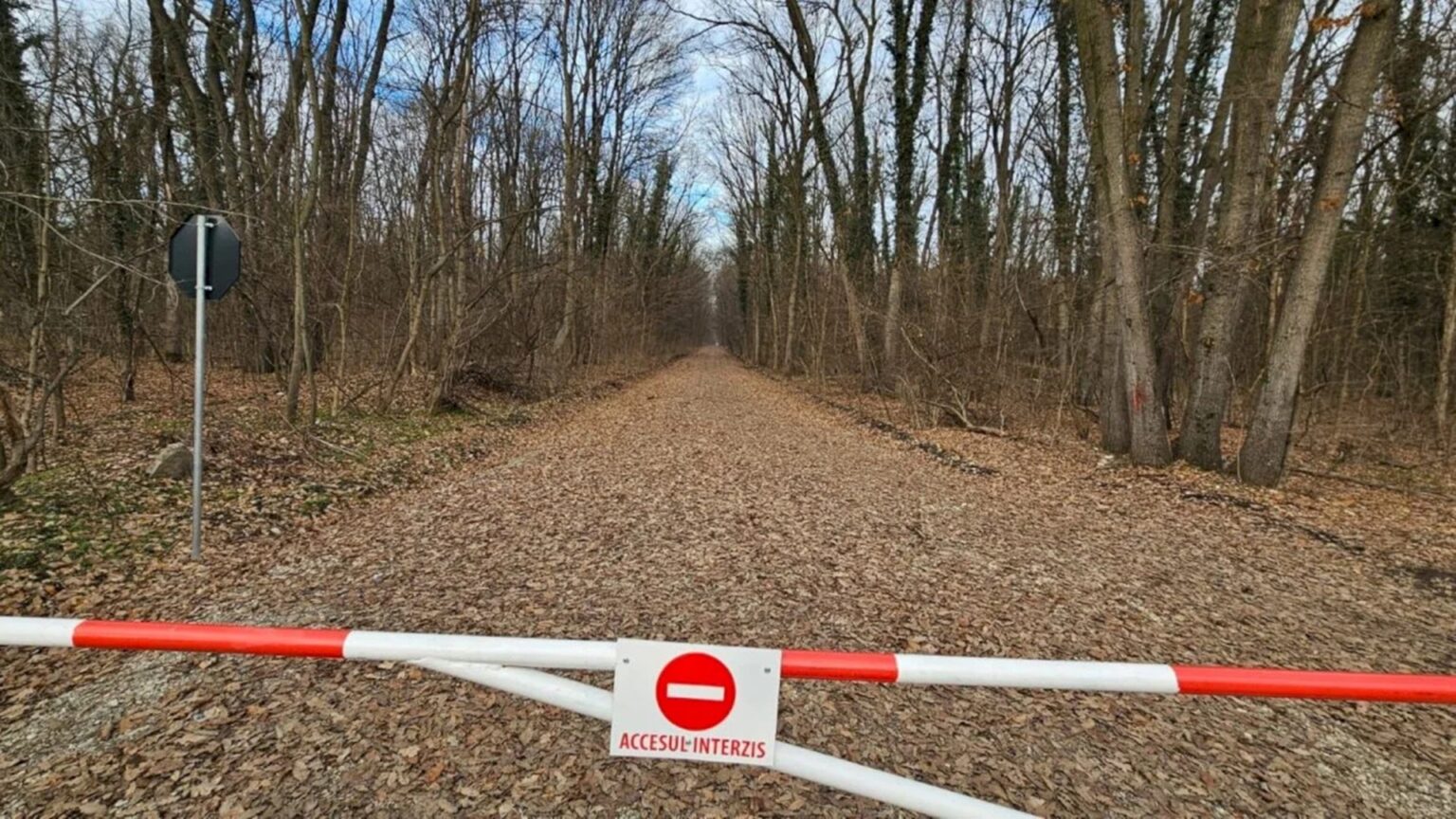 esential bucurestenii din greenfield castiga in instanta drumul forestier din padurea baneasa cererile ong urilor de suspendare a contractului respinse la tribunal 689df88978374