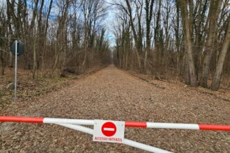 esential bucurestenii din greenfield castiga in instanta drumul forestier din padurea baneasa cererile ong urilor de suspendare a contractului respinse la tribunal 689df88978374