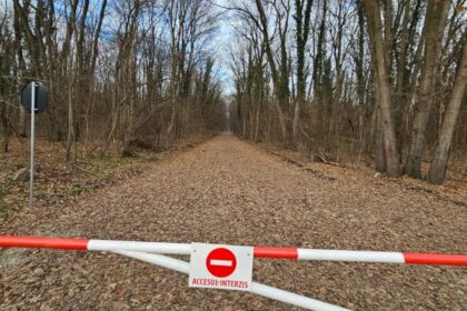 esential bucurestenii din greenfield castiga in instanta drumul forestier din padurea baneasa cererile ong urilor de suspendare a contractului respinse la tribunal 689df88978374