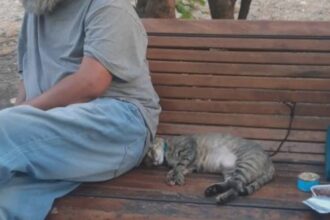 foto doi oameni ai strazii din s3 profita de pisici vulnerabile ca sa cerseasca bani o leaga de banca cu un snur foarte scurt se plange o bucuresteanca 689f6084da291