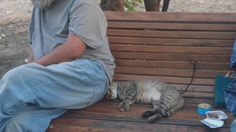 foto doi oameni ai strazii din s3 profita de pisici vulnerabile ca sa cerseasca bani o leaga de banca cu un snur foarte scurt se plange o bucuresteanca 689f6084da291