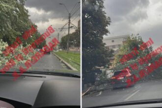 foto rafalele de vant au doborat mai multi copaci din bucuresti blocand strazi si trotuare e in vigoare un cod portocaliu de vijelie 68a89b2464f9a