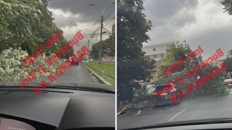 foto rafalele de vant au doborat mai multi copaci din bucuresti blocand strazi si trotuare e in vigoare un cod portocaliu de vijelie 68a89b2464f9a