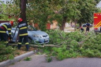 igsu 150 de apeluri la 112 in regiunea bucuresti ilfov in urma furtunii 68a9246486e50