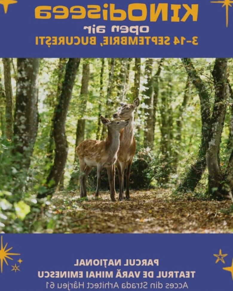 kinodiseea open air la teatrul de vara mihai eminescu din parcul national intre 3 si 14 septembrie 68aefc279fee3