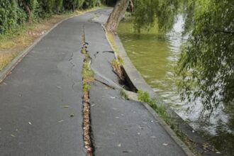 lucian judele lucrarile de consolidare a aleilor din parcul regele mihai i incep joi 68a5e5e06718b