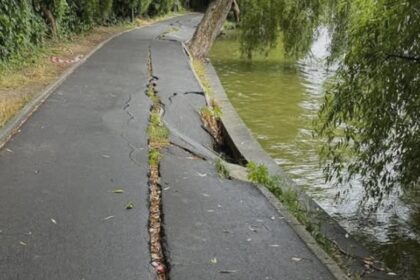 lucian judele lucrarile de consolidare a aleilor din parcul regele mihai i incep joi 68a5e5e06718b