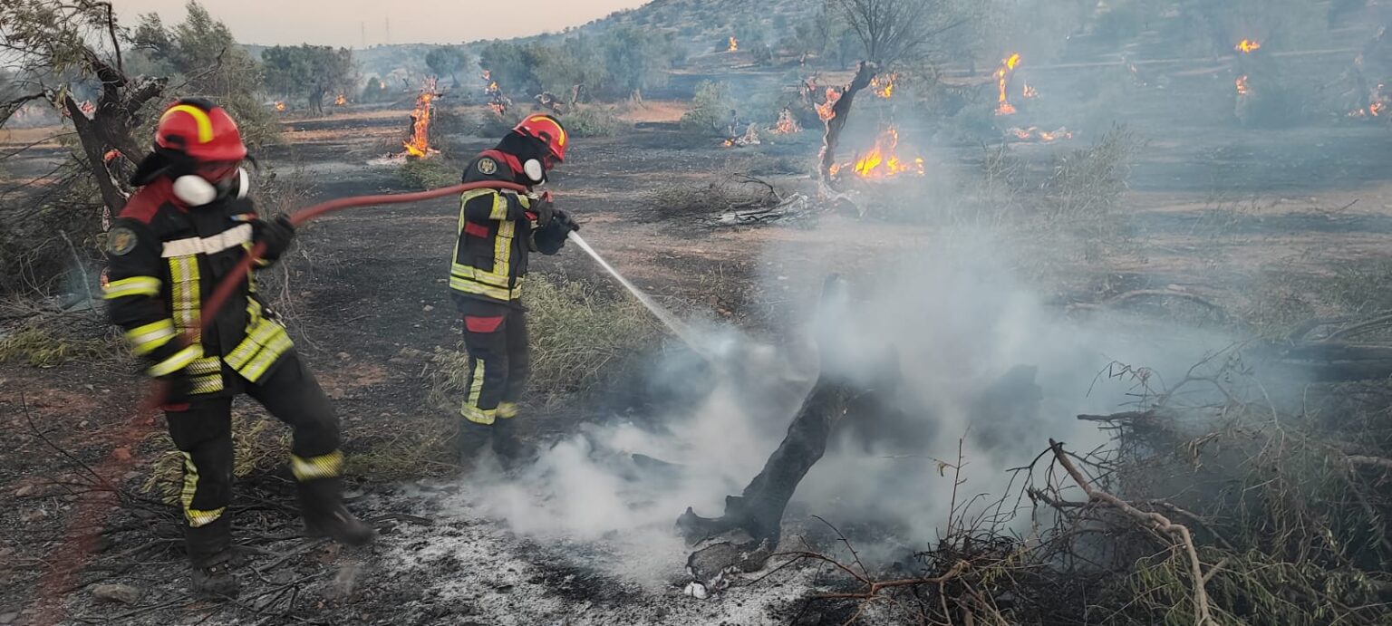 mae avertisment de calatorie pentru cetatenii romani risc ridicat de incendii in grecia 689e3608bc03c