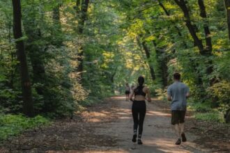 peste 40 de organizatii solicita sa nu fie permis accesul auto pe drumurile forestiere din padurea baneasa 68ae988163b61