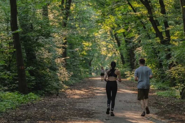 peste 40 de organizatii solicita sa nu fie permis accesul auto pe drumurile forestiere din padurea baneasa 68ae988163b61