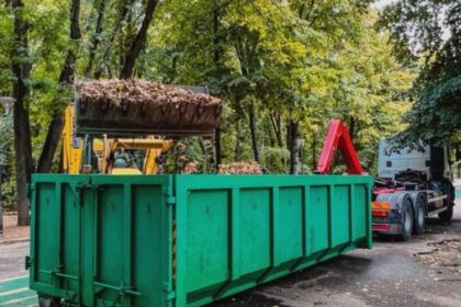 primaria capitalei s a apucat de curatenie in parcul herastrau 68a3f772a2c15