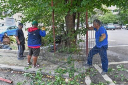 primaria sectorului 6 recuperam spatiul public ocupat abuziv si il redam comunitatii 68a330c5d73b1 1