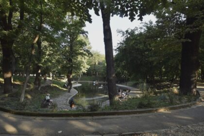 primarul tuta intervine in controversa lumina park din kiseleff cheama la discutii bucurestenii si ong urile care reclama privatizarea e si dezinformare 68b0659d9ef8f