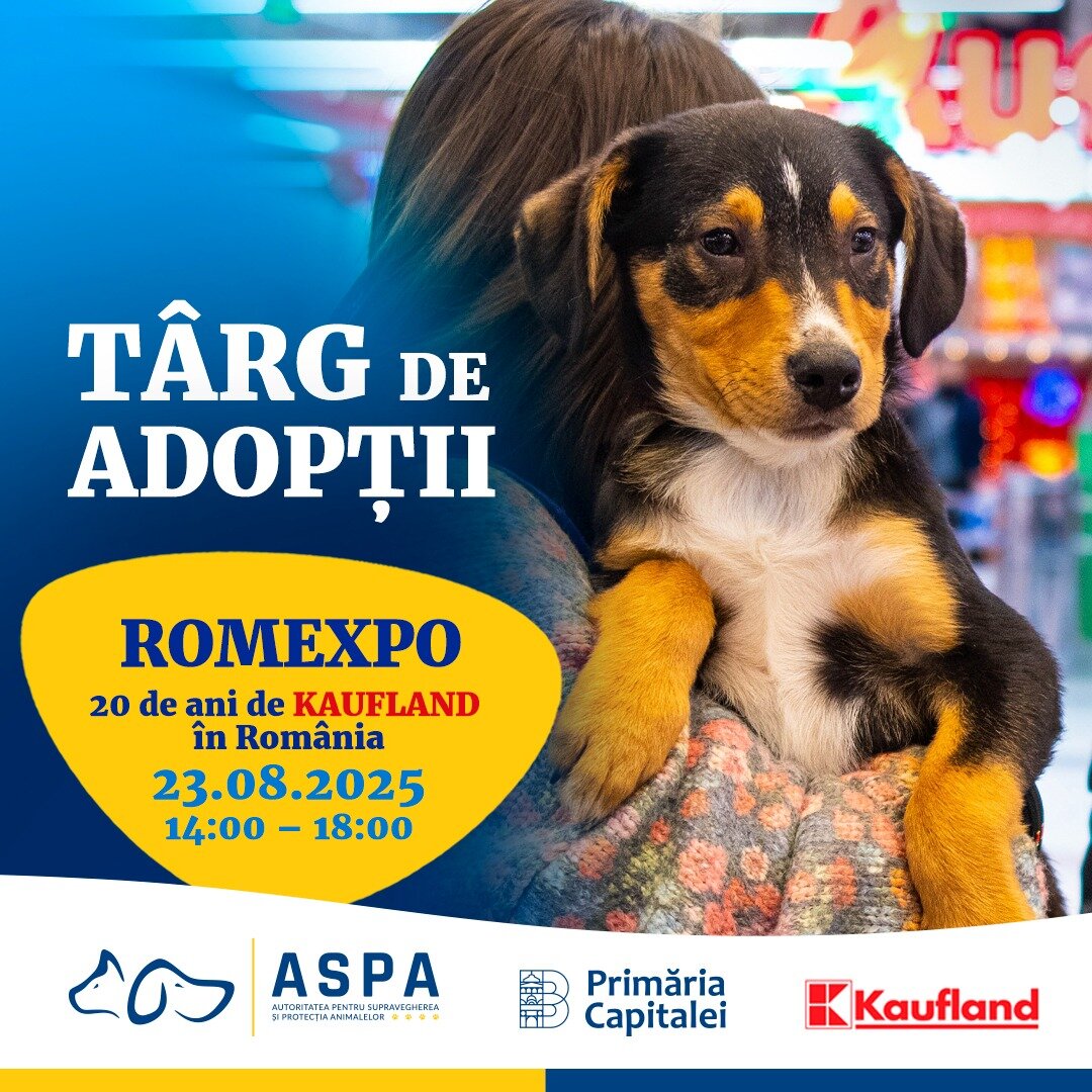 targ de adoptii aspa pe 23 august la