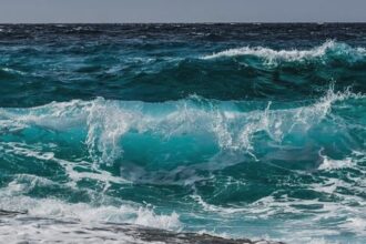 un barbat din bucuresti a murit inecat la mare a sarit in apa sa isi salveze fiul insa cel mic era pe sezlong 68a17a15974d6