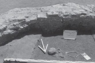 usr ilfov case peste morminte administratia pnl din buftea risca sa distruga cel mai mare complex funerar medieval descoperit in tara romaneasca 68ad46f061341