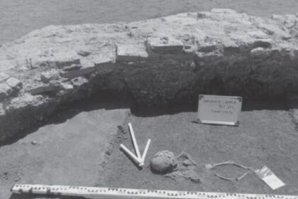 usr ilfov case peste morminte administratia pnl din buftea risca sa distruga cel mai mare complex funerar medieval descoperit in tara romaneasca 68ad46f061341