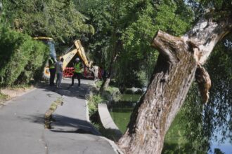 video au inceput lucrarile de punere in siguranta a aleilor din parcul herastrau vechi de un secol pentru refacerea malurilor mai e nevoie de cateva avize 68a7161fb1215