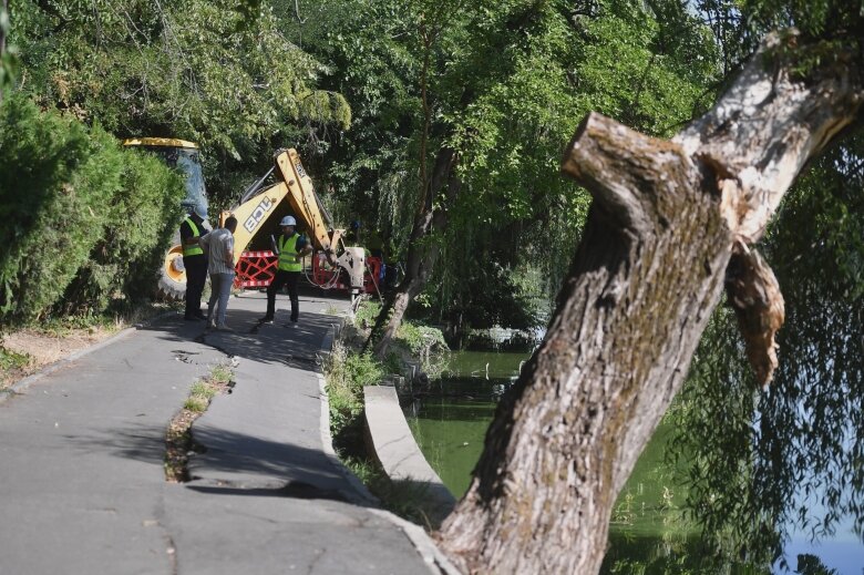 video au inceput lucrarile de punere in siguranta a aleilor din parcul herastrau vechi de un secol pentru refacerea malurilor mai e nevoie de cateva avize 68a7161fb1215