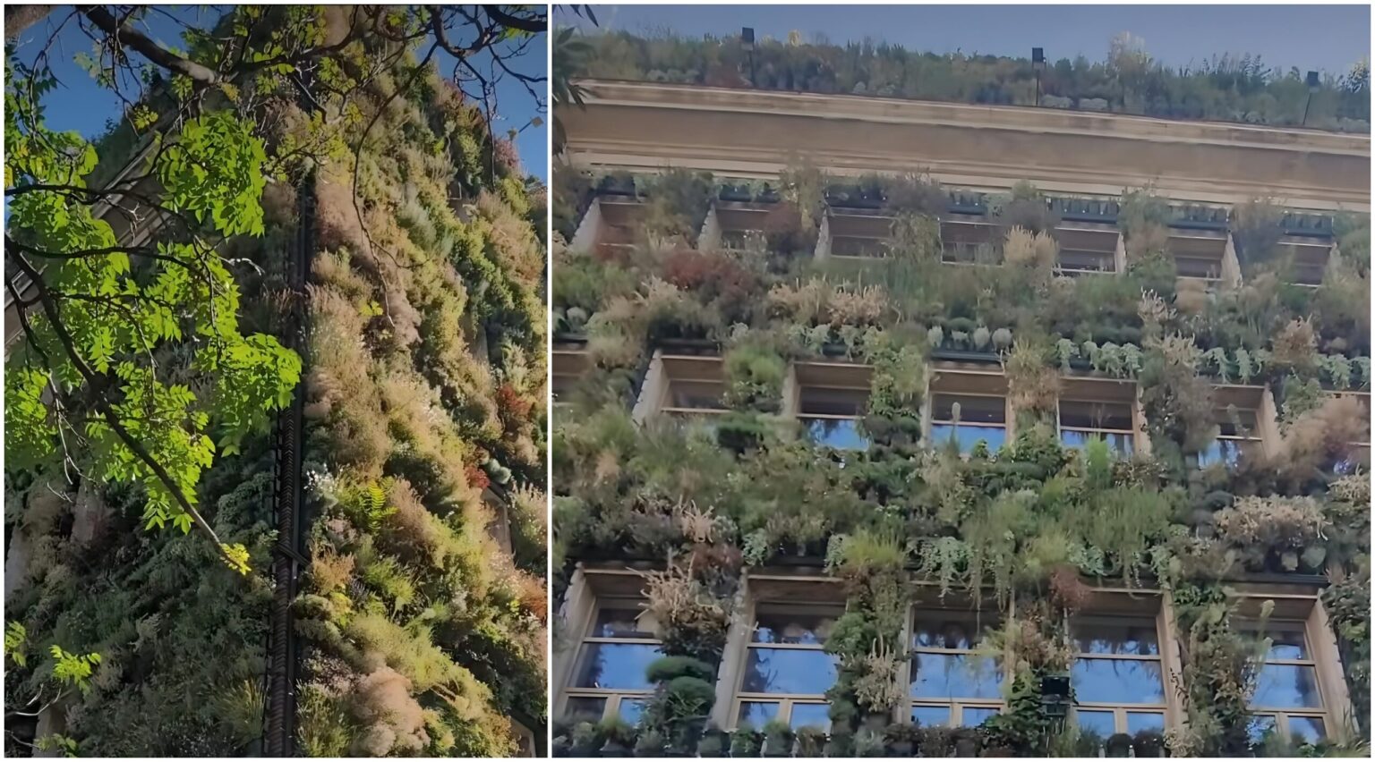 video f09f929a fantastic green in bucuresti f09f929a singurul mall de plante din tara se deschide curand pe calea dudesti in cladirea unde era candva posta vitan 689edf4416b9e