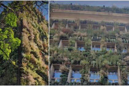 video f09f929a fantastic green in bucuresti f09f929a singurul mall de plante din tara se deschide curand pe calea dudesti in cladirea unde era candva posta vitan 689edf4416b9e