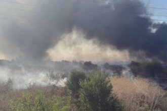 videofoto incendiu de vegetatie din ilfov au fost evacuate zeci de persoane existand pericolul de propagare la case 689f5a52a17f4 1