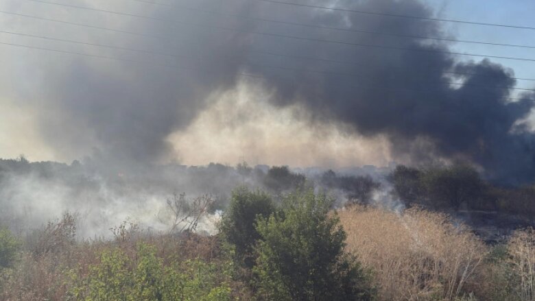 videofoto incendiu de vegetatie din ilfov au fost evacuate zeci de persoane existand pericolul de propagare la case 689f5a52a17f4 1