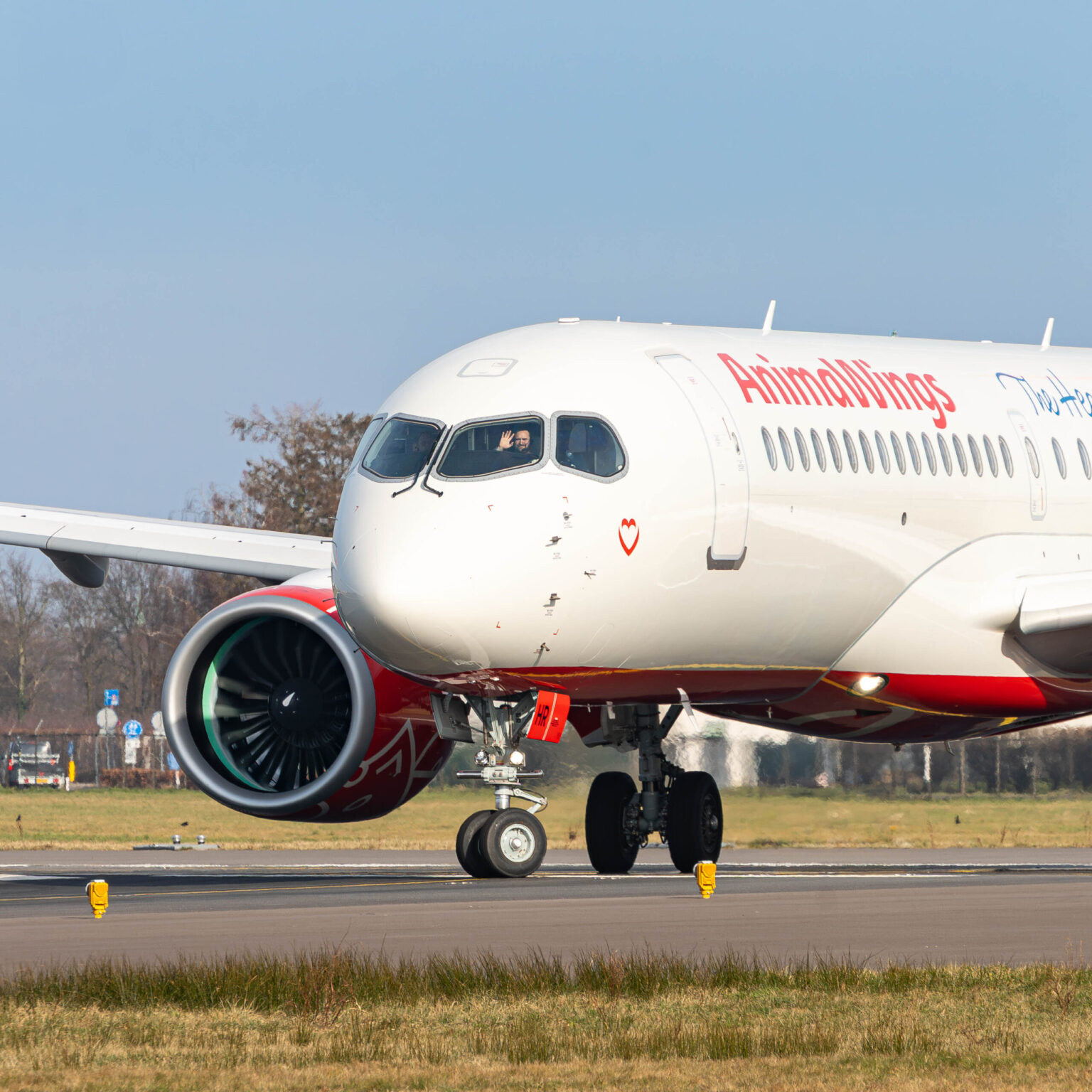 zboruri animawings catre istanbul de pe cinci aeroporturi din romania 689c59e05532e