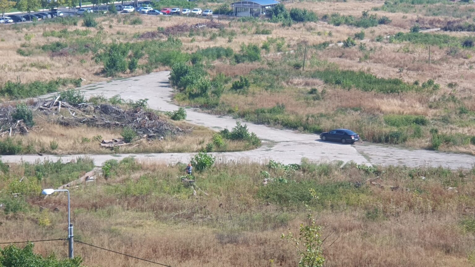 alerta de noi defrisari in parcul ior au fost taiati zeci de puieti de nuc si multi lastari avertizeaza bucurestenii din comunitatea aici a fost o padure 68b997f6bd078