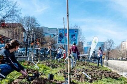 alpab invita bucurestenii la plantat de copaci si flori 68ce3c6b299e5