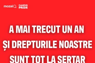 asociatia mozaiq organizeaza un mars la bucuresti pentru parteneriat civil si proceduri de tranzitie legale 68dbcded06f30