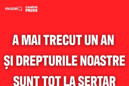 asociatia mozaiq organizeaza un mars la bucuresti pentru parteneriat civil si proceduri de tranzitie legale 68dbcded06f30